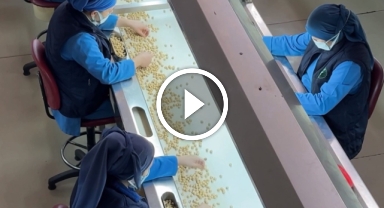 Giresun Ticaret Borsası Başkanı Bölük: 'Fındık ihracatında bu yıl hedef daha da yüksek'