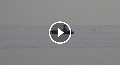 İnsansız deniz aracı OKHAN testleri başarıyla geçti