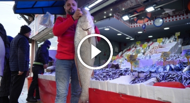 Karadeniz'de 120 santimlik dev minekop avlandı, 6 bin TL'ye satıldı