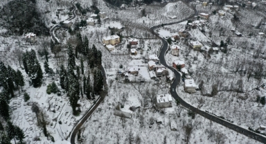 Giresun'da kar yağışı etkili oldu 