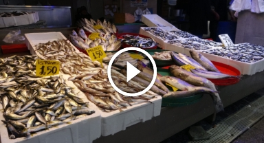 Hamsi tekrar bol miktarda tezgâhlarda yerini aldı   