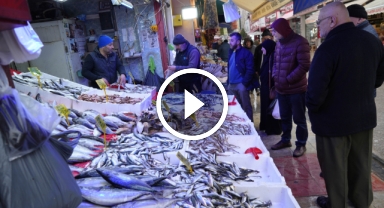 Karadeniz'de etkili olan Sibirya soğukları hamsiye yaradı