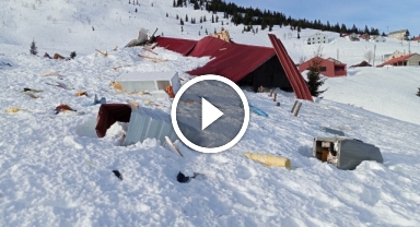 Sis Dağı Yaylası'nda bu kez de ayı faciası yaşanıyor