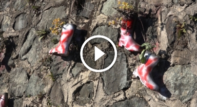 Taş duvarı saksı olarak kullandığı çizmelerle renklendirdi 