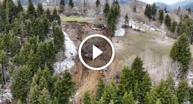 Ardanuç'ta ormanlık alanda yaşanan heyelan korkuttu