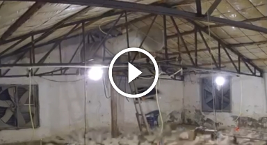 Kümese girmeye çalışan ayı böyle görüntülendi