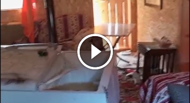 Sis Dağı Yaylası'nda ayılar evleri talan etti!