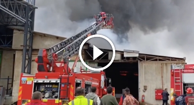 Fındık Kırım Fabrikasında Yangın