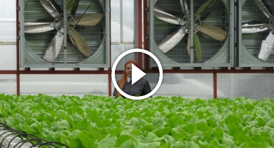 Her şey 6 yıl önce Amerika'ya gitmesiyle başladı, Türkiye'ye teknolojik tarımı getirdi   