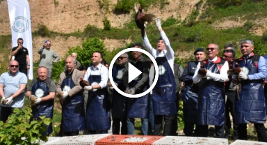 Kahverengi kokarcaya karşı doğaya 800 sülün salındı