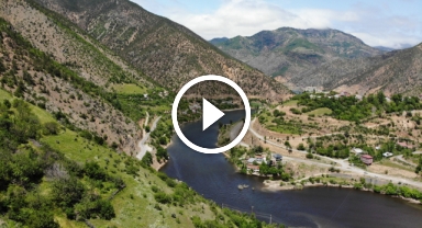 Karadeniz'in o gölünde alg patlaması gölet yüzeyini koyu renge bürüdü