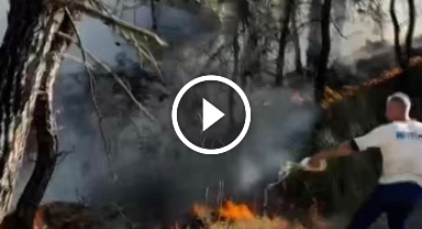 Alevlere elindeki pet şişeyle direndi: O anlar kamerada   