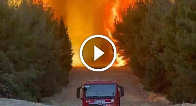 Alevlerin arasında kalan orman ekibi son anda kurtuldu