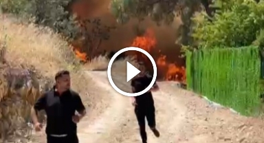 Bursa'daki orman yangını köydeki evlere sıçradı...Büyük panik yaşanıyor