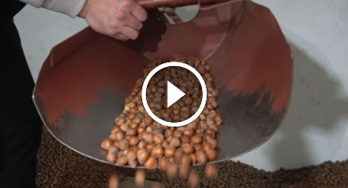 Fındıkta stoklar eriyor, yeni sezonun yolu açılıyor