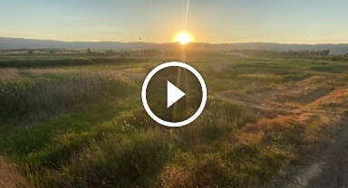 Binlerce kuşa ev sahipliği yapan sulak alan tamamen kurudu