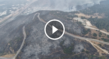 Bursa'daki yangının acı boyutu gün ağarınca ortaya çıktı    