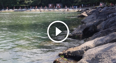 Giresun'un Gizli Şifa Kaynağı: Yosun