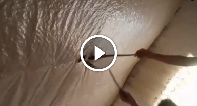 Toprak evin tavanına yuva yapan yılanlar doğaya salındı