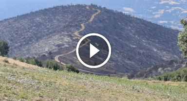 Yangından geriye küle dönen evler ve tarlalar kaldı