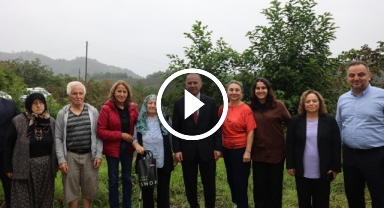 Giresun'da Fındık Tarımında Yeni Dönem!