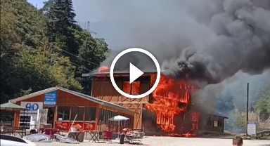 Giresun'un gözde tabiat parkında yangın felaketi