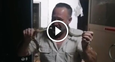 İş yerine giren 2 metrelik yılana 'kanka' diye hitap edip boynuna doladı