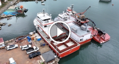 Ordu, Trabzon, Giresun ve Rize'deki balıkçılar yeni sezonda hamsiden umutlu