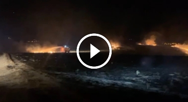 Alevlere teslim olan 300 dönüm mera küle döndü