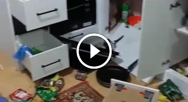 Ayılar Yerleşim Yerlerine Kadar İndi! Giresun'da Gece Yarısı Korku Dolu Anlar