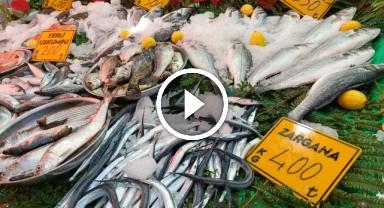 Balıkçılar palamut için 'kestane karası'nı bekliyor