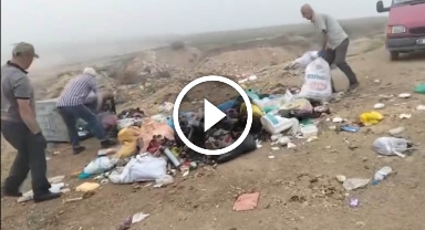 Giresun, Rize ve Trabzon Yaylalarında Çöp Alarmı: Karadeniz'in Ekosistemi Tehlikede