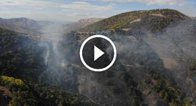 Gümüşhane'deki orman yangınında 30 hektar alan küle döndü