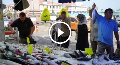 Hamsi için geri sayım başladı: Balıkçılar yolunu gözlüyor