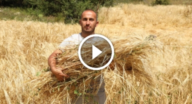 İstanbul'dan Karadeniz'e uzanan çiftçilik öyküsü başarıya dönüştü