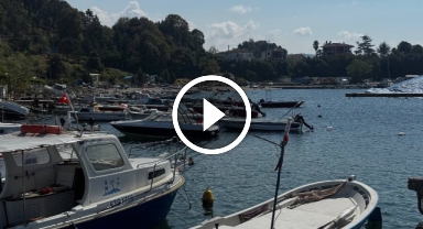 Karadeniz'de bu yıl hamsi beklentisi büyük