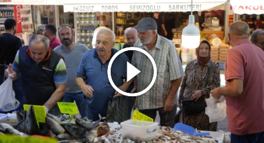 Karadeniz'in incisi hamsi tezgahlarda: Ne alırsan 100 TL