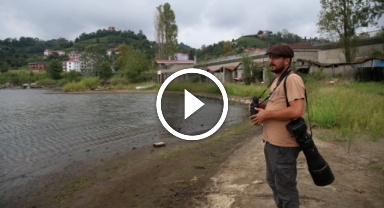 Yaban hayatı fotoğrafçısı Alper Tüydeş, Karadeniz'de 172 kuş türü fotoğrafladı