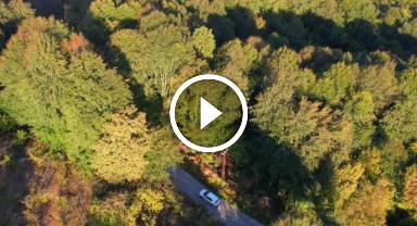 Zonguldak ormanlarında sonbahar renkleri havadan görüntülendi