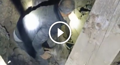 Depremde enkaz altında kalan eşek böyle kurtarıldı!