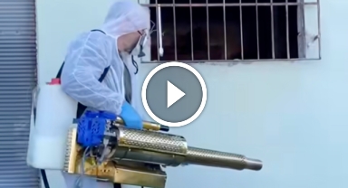 Giresun'da Kahverengi Kokarcaya Karşı Kışlak Mücadelesi Sürüyor