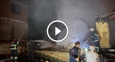 Giresun'da Yangın Paniği! Ev ve Serender Küle Döndü 