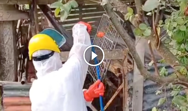 Giresun Tarımını Koruma Zamanı: Kahverengi Kokarca'ya Karşı Kışlak Mücadelesi Sürüyor