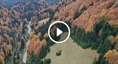 Giresun'un Yükseklerinde Görsel Şölen