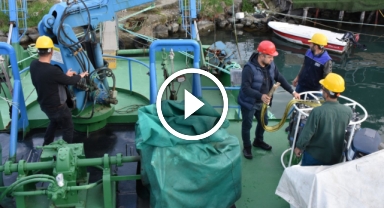 Karadeniz'de balık stoklarının araştırılmasına yönelik çalışmalar devam ediyor