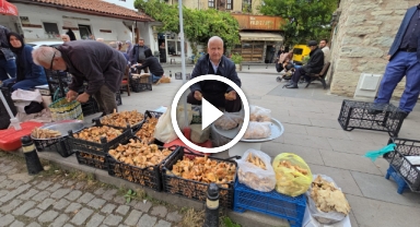 Lezzetiyle Sofraları Şenlendiren O Mantar Tezgahlardaki Yerini Aldı