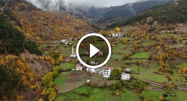 O Kentin Ata Tohumu Siyah Sarımsak Tescil İçin Bakanlık Yolunda