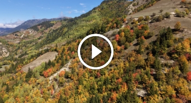 Sonbahar Karadeniz'de İlk O Köye Uğruyor