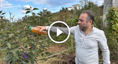 Doğal Yöntemle Kahverengi Kokarcayı Bahçeden Kovdu: İşte O Formül!