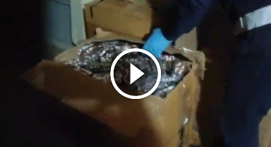 Karadeniz'in o kentinde binlerce uyuşturucu hap ele geçirildi!